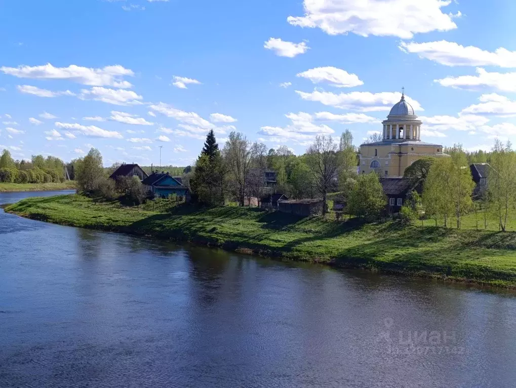 Дом в Новгородская область, Любытино рп пер. Зеленый, 10 (36 м) - Фото 2