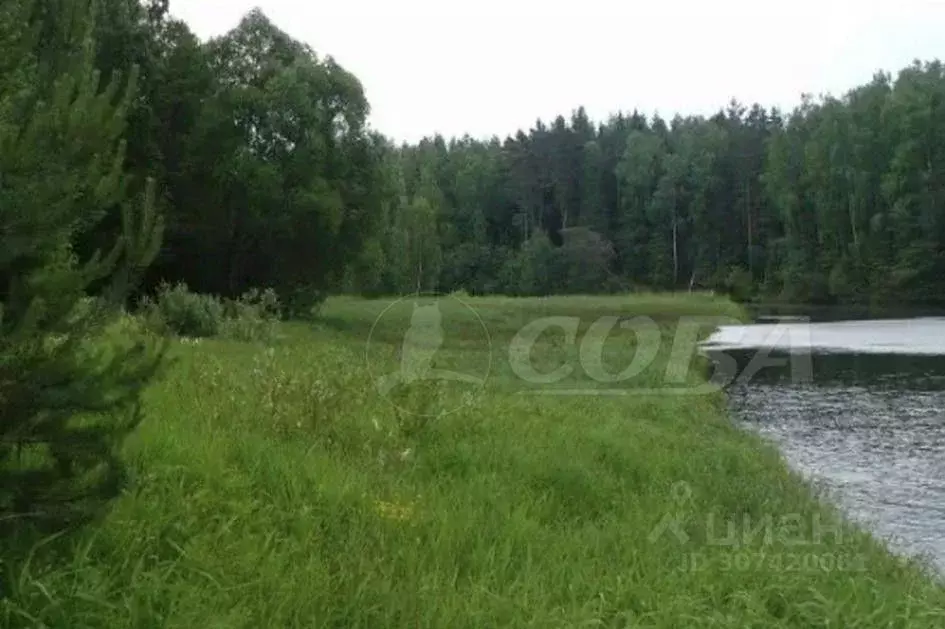 Участок в Тюменская область, Нижнетавдинский район, Журавли ДНП  (24.0 ... - Фото 1