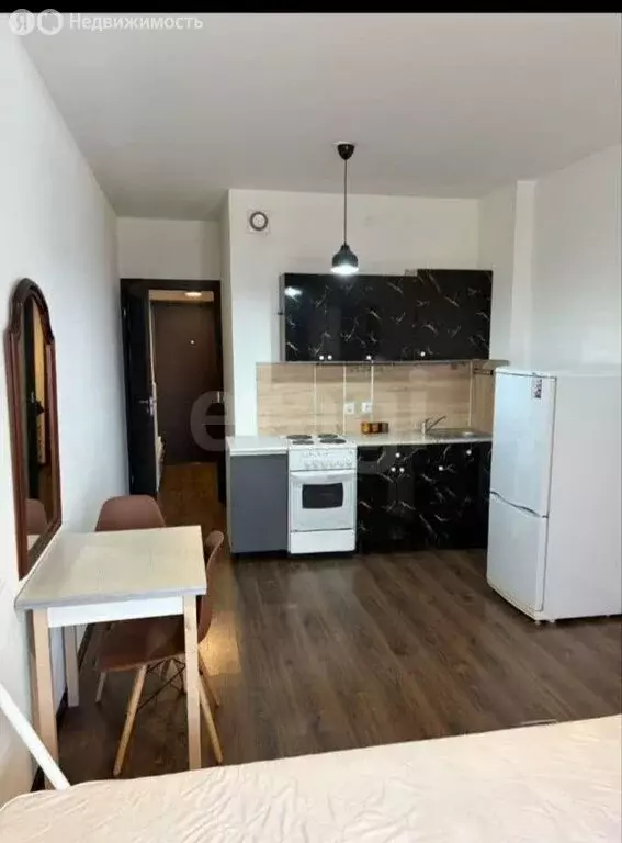 Квартира-студия: Санкт-Петербург, проспект Ветеранов, 171к2 (24.5 м) - Фото 1