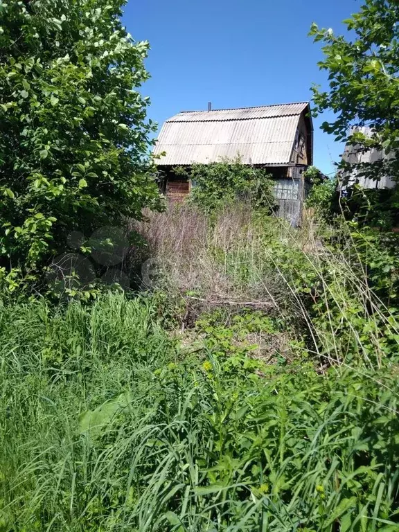 Дача 23 м на участке 9.4 га - Фото 1