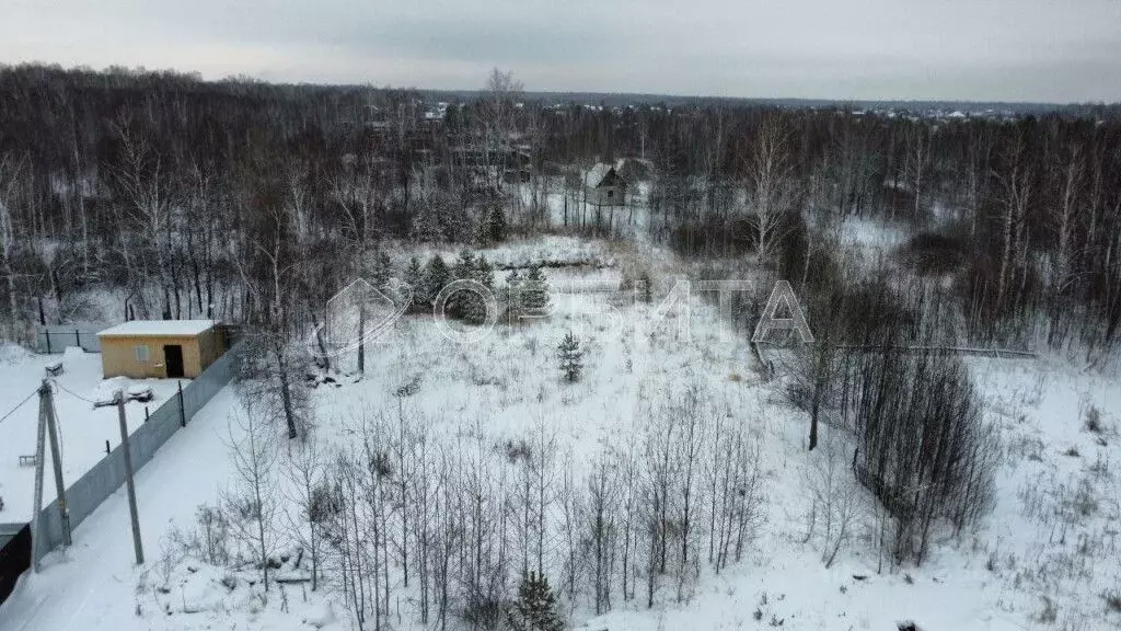 Участок в Тюменская область, Тюменский район, Нива СНТ ул. Урожайная, ... - Фото 1