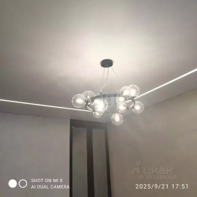 1-к кв. Санкт-Петербург ул. Челюскина, 8 (34.6 м) - Фото 1