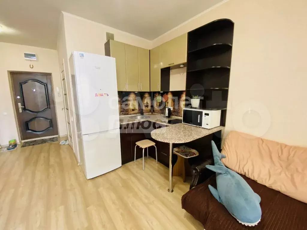 Квартира-студия, 24,7 м, 5/6 эт. - Фото 1