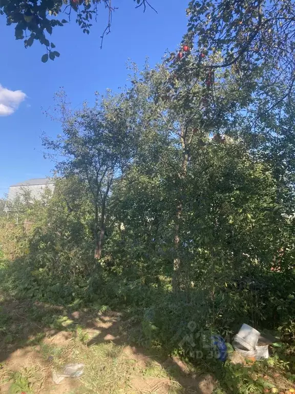 Участок в Нижегородская область, Кстовский муниципальный округ, ... - Фото 1