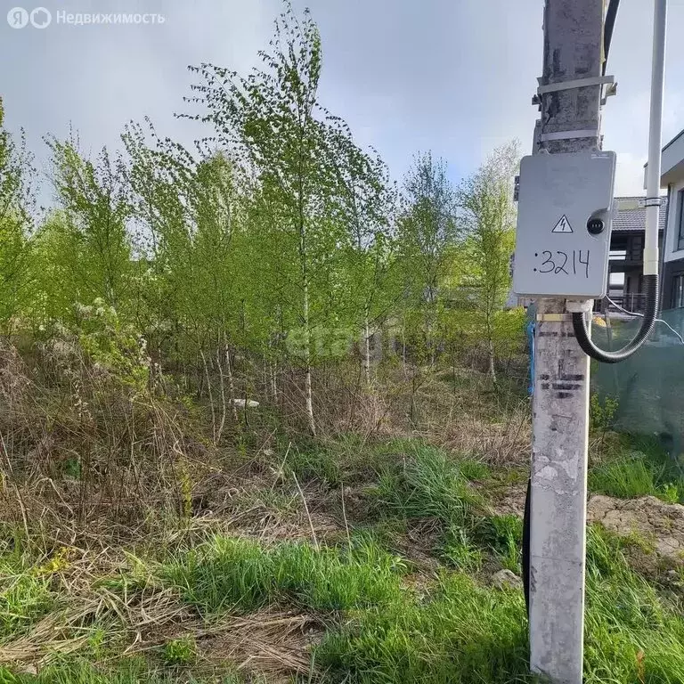 Участок в Московская область, городской округ Домодедово, село ... - Фото 1