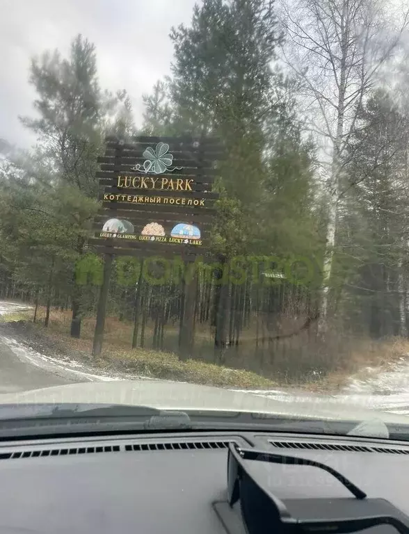 Участок в Новосибирская область, Новосибирский район, Кубовинский ... - Фото 1