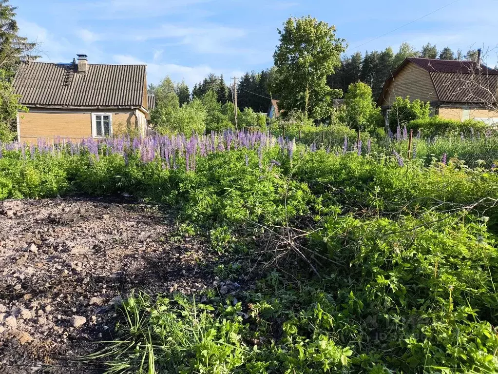 Участок в Ленинградская область, Кировский район, Павловское городское ... - Фото 1