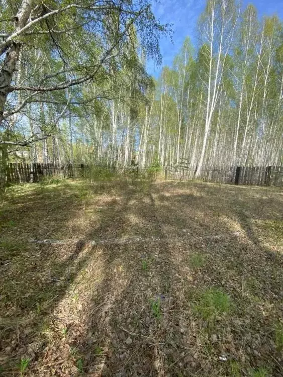 Участок в Иркутская область, Иркутский муниципальный округ, с. Мамоны ... - Фото 0