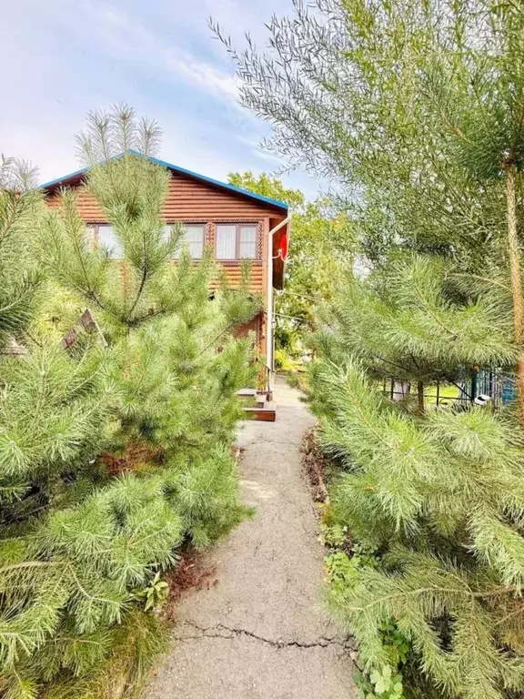 Дом в Челябинская область, Копейск Дружба СНТ, 363 (176 м) - Фото 1