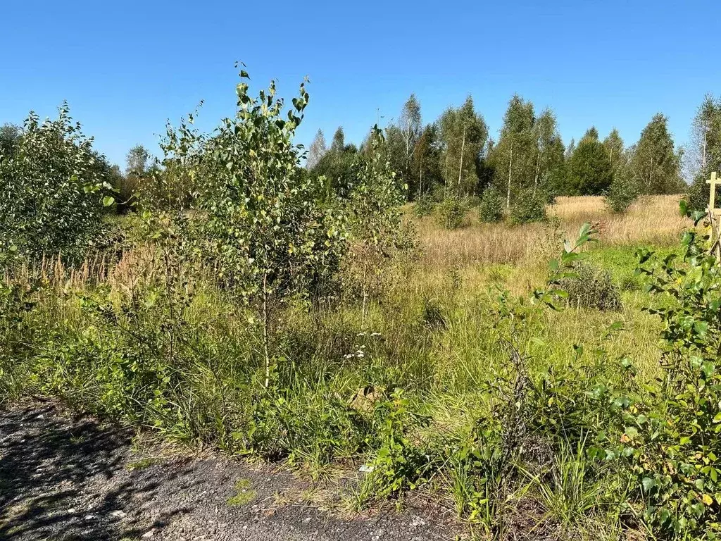 Участок в Московская область, Клин городской округ, Рижские Дачи дп ... - Фото 2