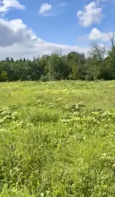 Участок в Московская область, Одинцовский городской округ, д. ... - Фото 1