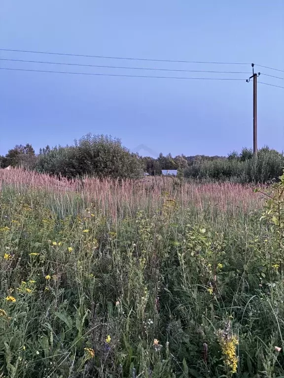 Участок в Калужская область, Ферзиковский район, Ястребовка с/пос, д. ... - Фото 1