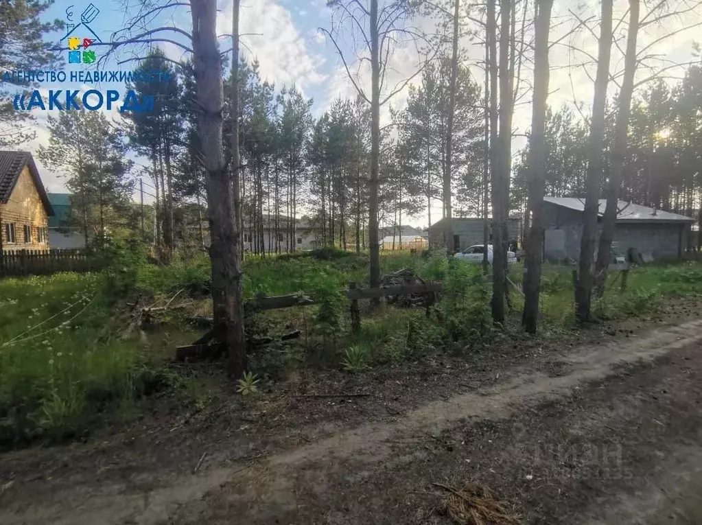 Участок в Алтайский край, Первомайский район, с. Зудилово  (10.0 сот.) - Фото 2