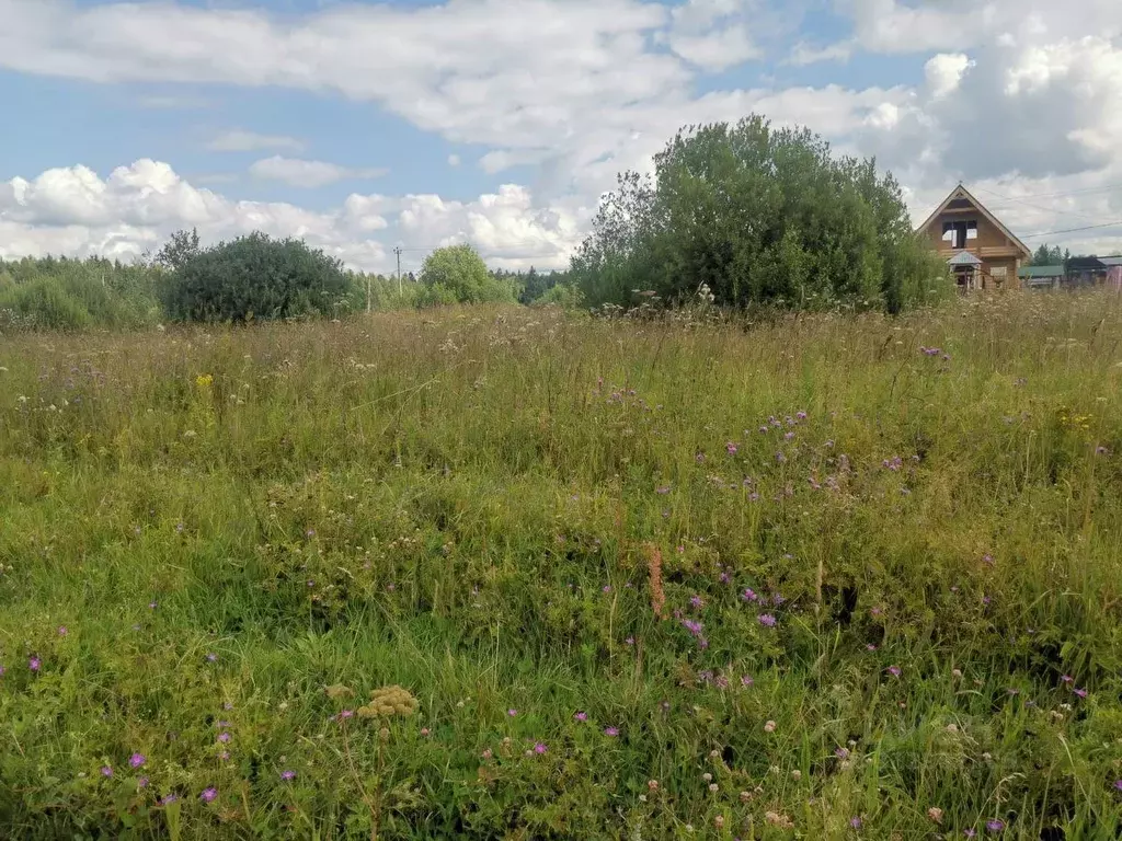 Участок в Московская область, Истра муниципальный округ, д. Курово  ... - Фото 0