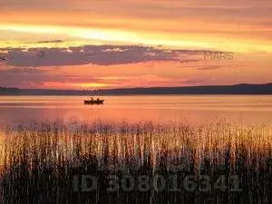 Участок в Ленинградская область, Выборгский район, Полянское с/пос, ... - Фото 0