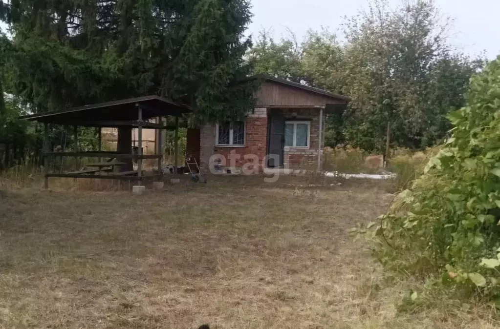 Дом в Воронежская область, Воронеж Дон СНТ, ул. Пожарная, 38 (40 м) - Фото 1