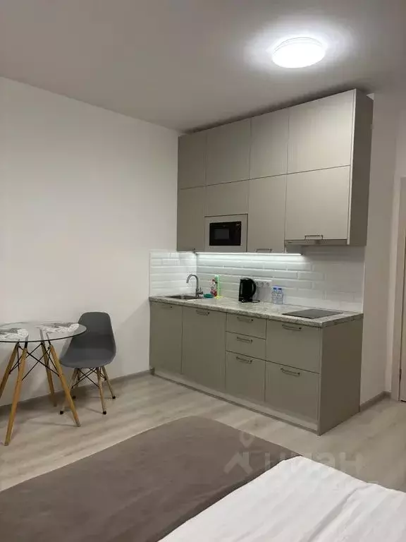 Студия Санкт-Петербург Железнодорожный просп., 14к1 (30.0 м) - Фото 2