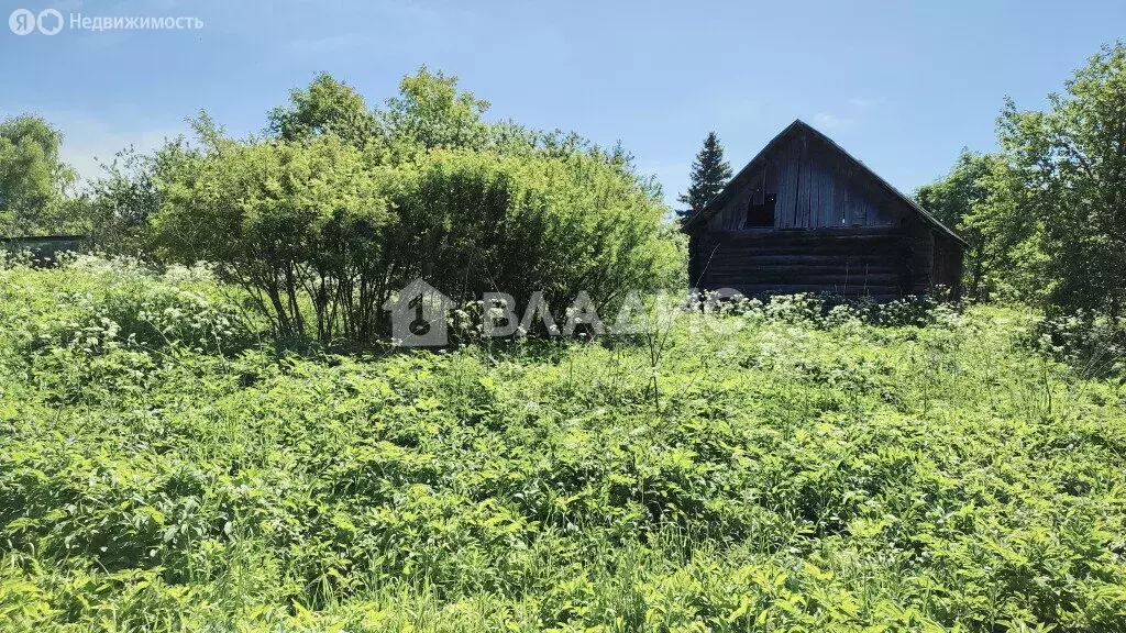 Участок в деревня Шеняно-Слобода, улица Ветеранов (50 м) - Фото 2