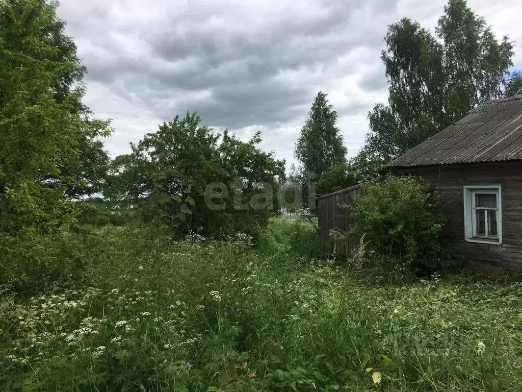 Участок в Вологодская область, Кирилловский муниципальный округ, с. ... - Фото 1