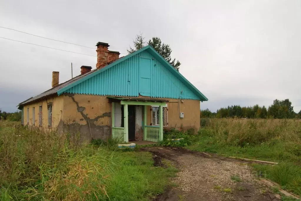 Помещение свободного назначения в Архангельская область, Плесецкий ... - Фото 1