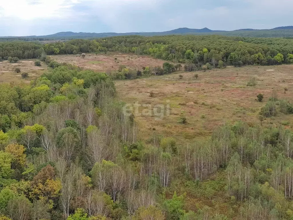 Участок в Хабаровский район, село Корсаково-2 (110 м) - Фото 0