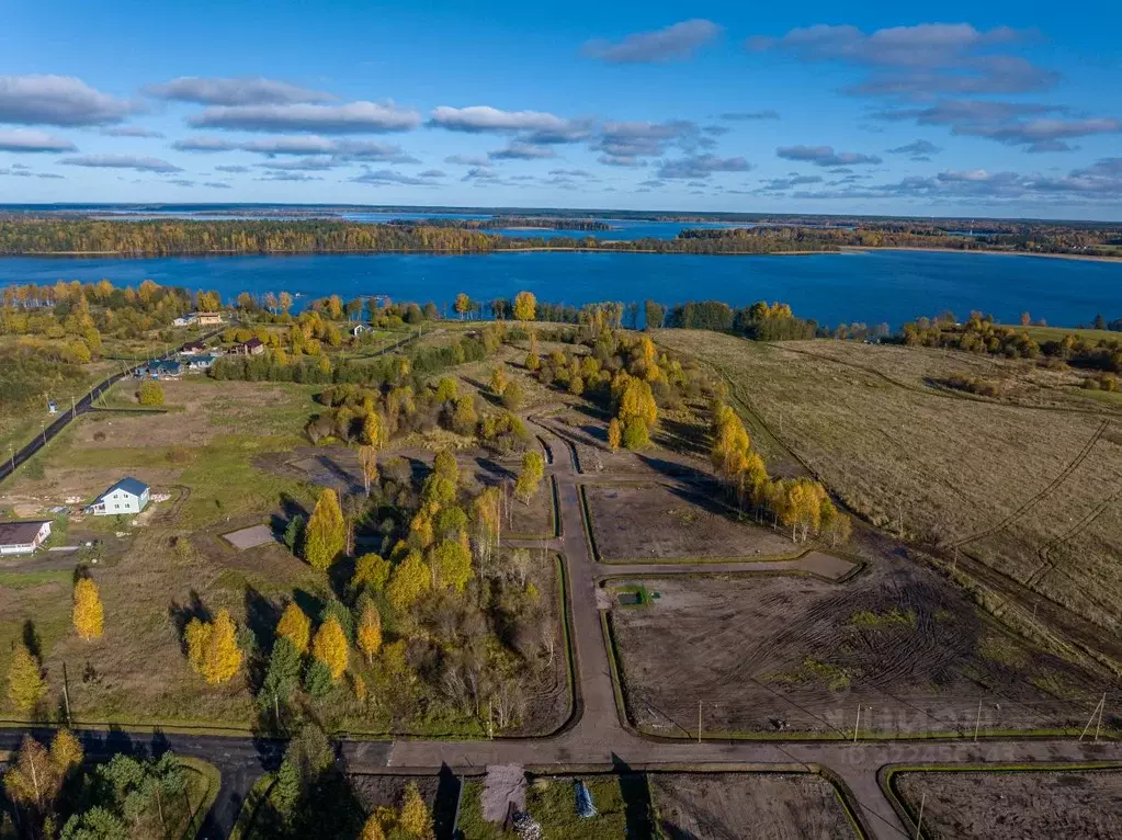 Участок в Ленинградская область, Приозерский район, Громовское с/пос, ... - Фото 0