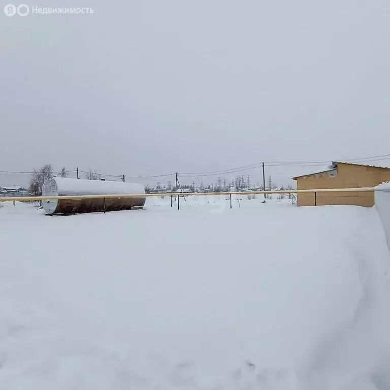 Участок в Новый Уренгой, ДНТ Северный Берег (4.98 м) - Фото 2