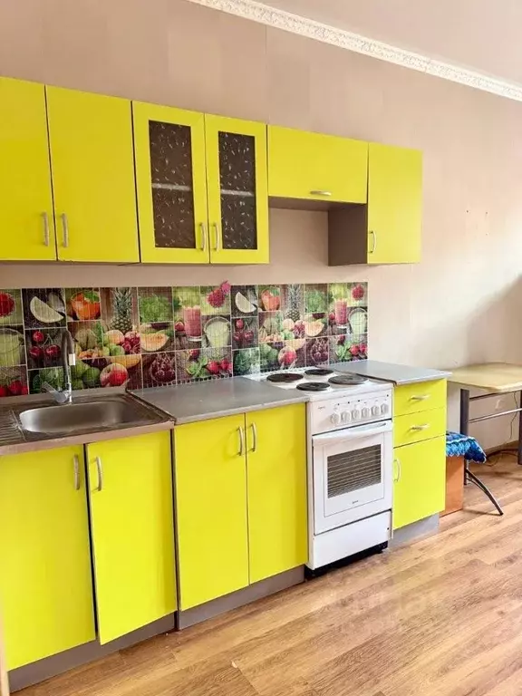 Студия Хакасия, Абакан просп. Дружбы Народов, 39 (24.0 м) - Фото 2