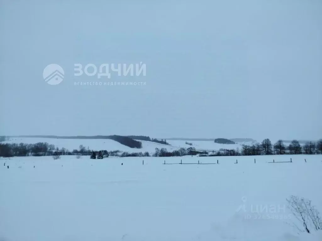 Участок в Чувашия, Цивильский муниципальный округ, д. Сюлескеры  (50.0 ... - Фото 2