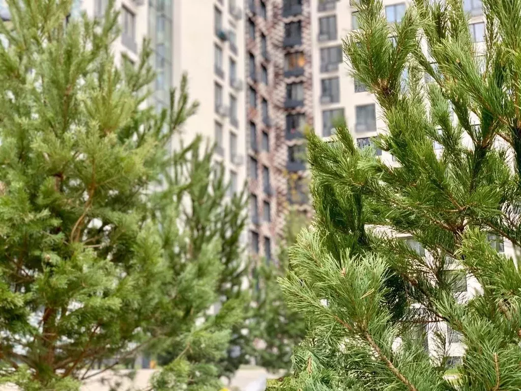 1-к кв. Московская область, Ленинский городской округ, д. Сапроново, ... - Фото 2