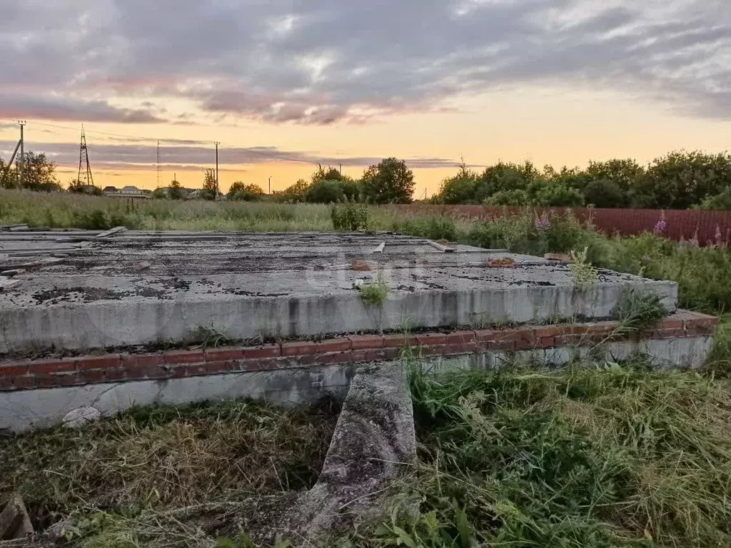 Участок 12,5 сот. (ИЖС) - Фото 0