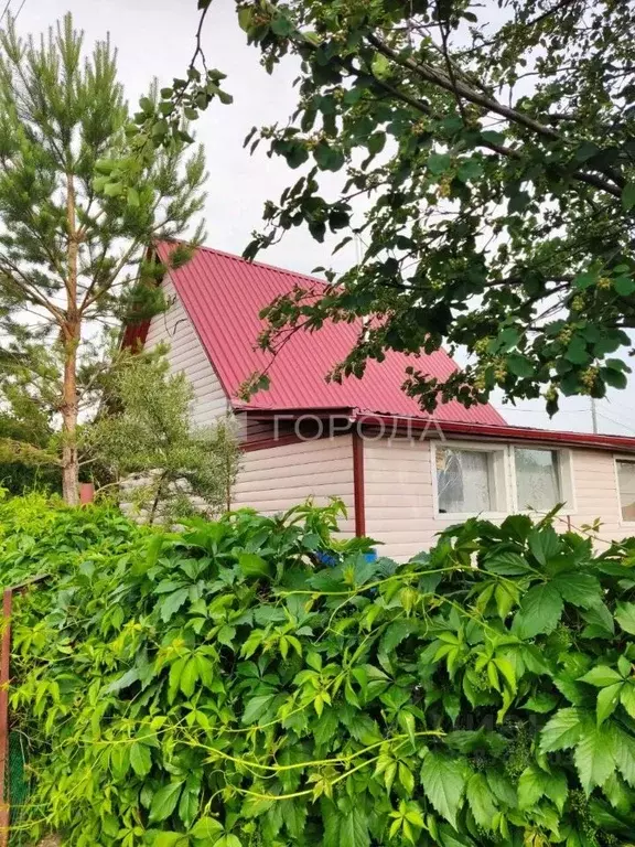 Дом в Новосибирская область, Бердск Ягодка СНТ, 137 (45 м) - Фото 1