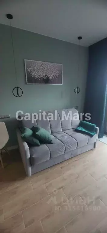 1-к кв. Санкт-Петербург наб. Макарова, 58 (20.0 м) - Фото 1