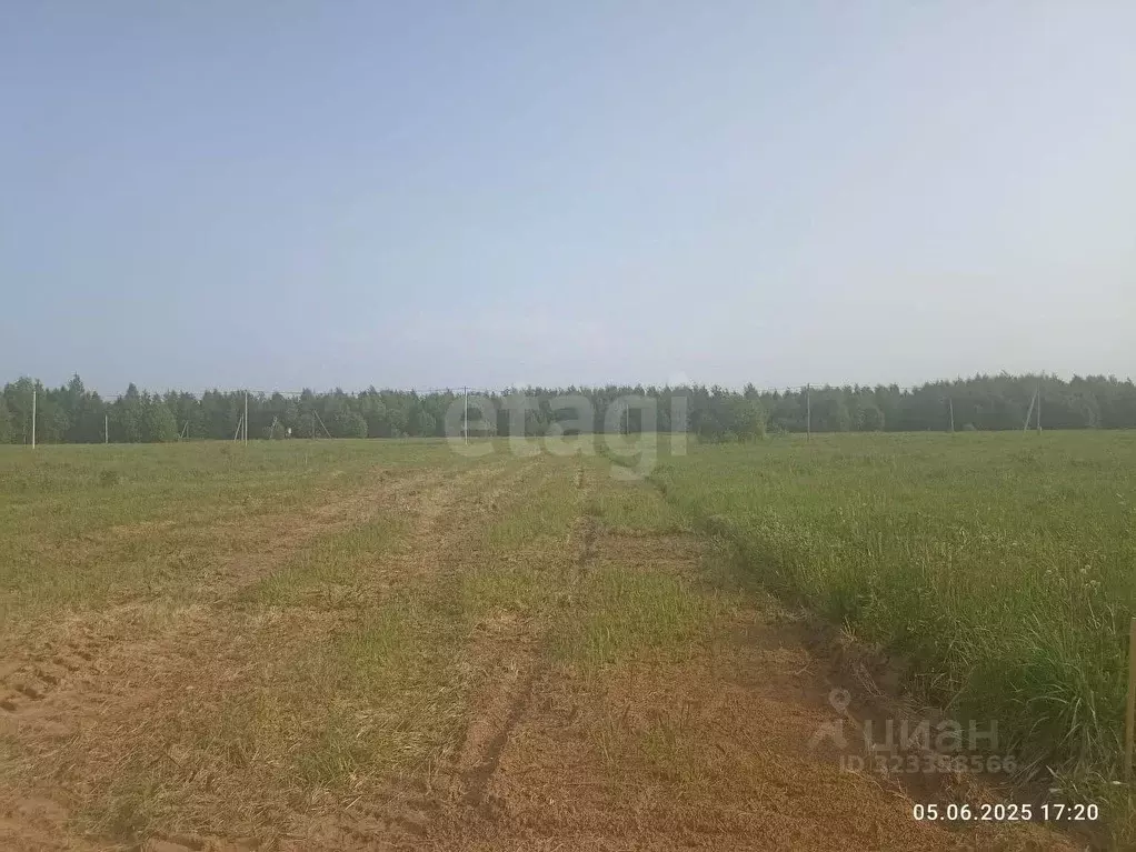 Участок в Костромская область, Кострома  (15.14 сот.) - Фото 1