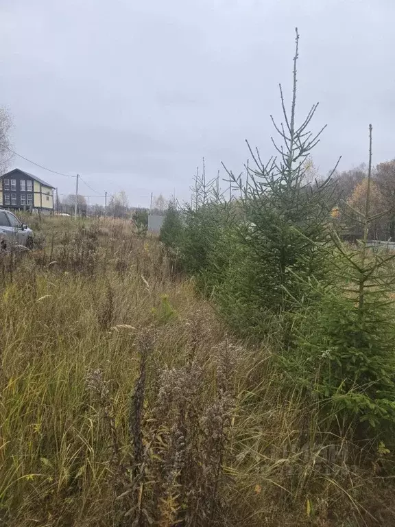 Участок в Тульская область, Тула городской округ, д. Интюшово  (26.0 ... - Фото 1