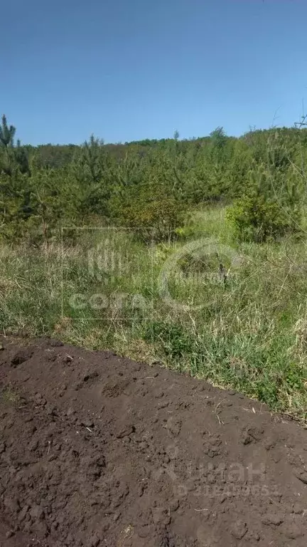 Дом в Воронежская область, Воронеж Тенистый мкр, ул. Березовая, 16 (46 ... - Фото 0