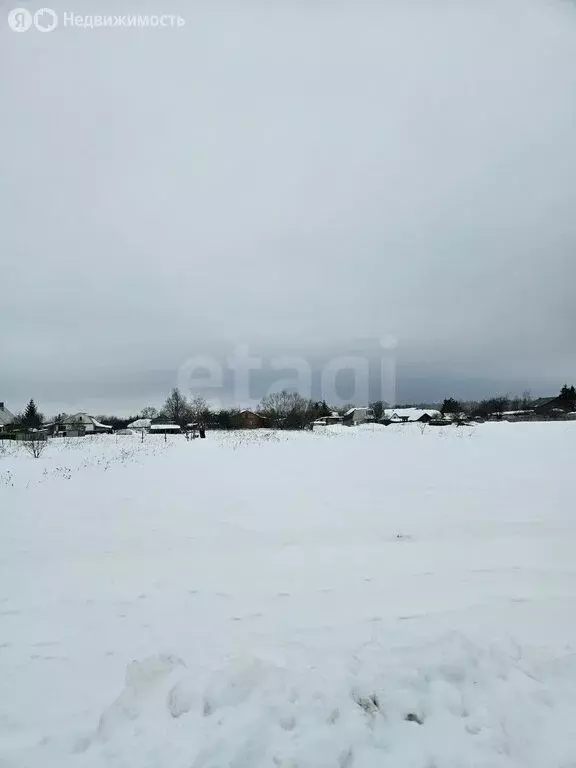 Участок в Тульская область, Венёвский муниципальный округ, село ... - Фото 1