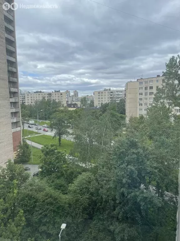 2-комнатная квартира: Санкт-Петербург, улица Олеко Дундича, 11 (50 м) - Фото 1