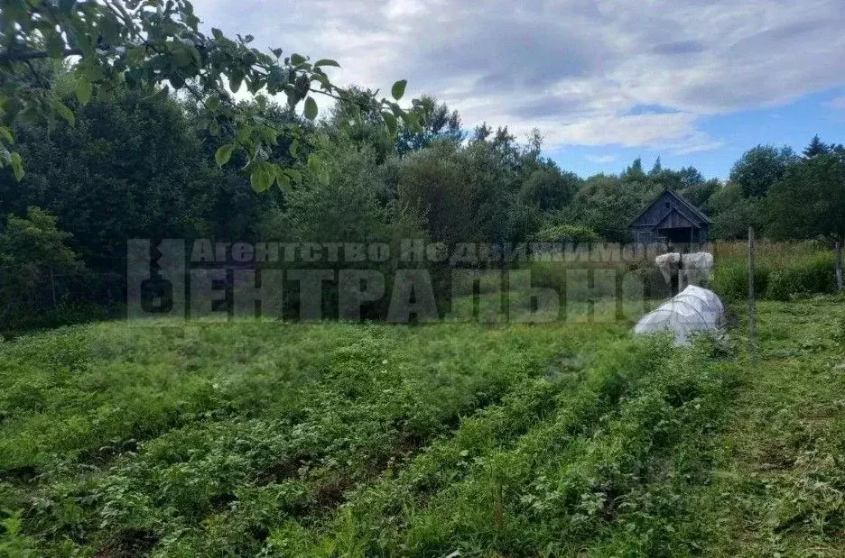 Дом в Смоленская область, Смоленск Черничный сад СНТ,  (20 м) - Фото 1