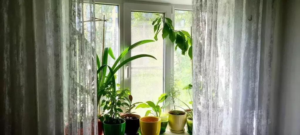 1-к кв. Воронежская область, Воронеж Южно-Моравская ул., 31 (35.0 м) - Фото 1