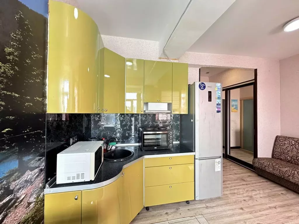 Студия Краснодарский край, Сочи ул. Тимирязева, 29/2 (29.0 м) - Фото 1