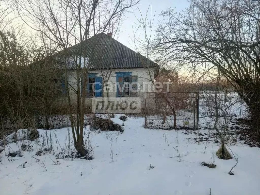 Участок в станица Каладжинская, Курортная улица, 21 (27 м) - Фото 1