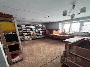 Помещение свободного назначения в Свердловская область, Туринск ул. ... - Фото 1