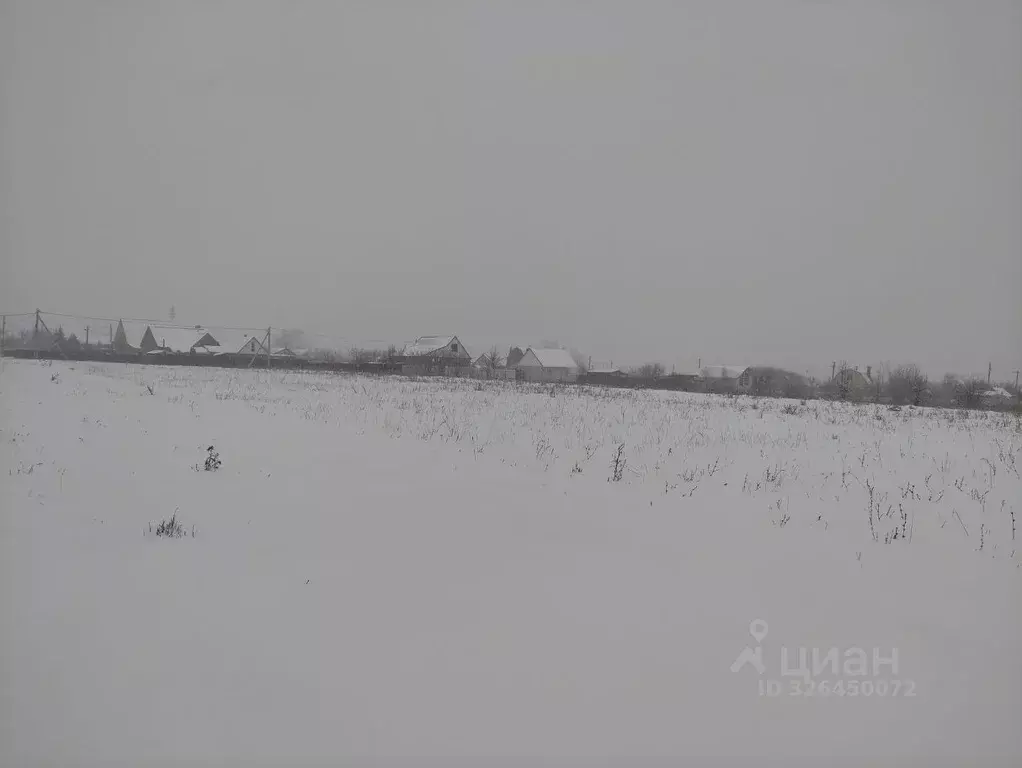 Участок в Воронежская область, Хохольский район, с. Гремячье ул. 50 ... - Фото 1