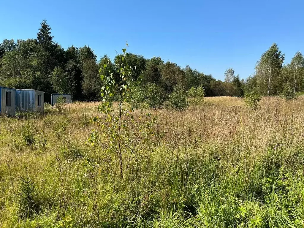 Участок в Московская область, Клин городской округ, Рижские Дачи дп ... - Фото 1