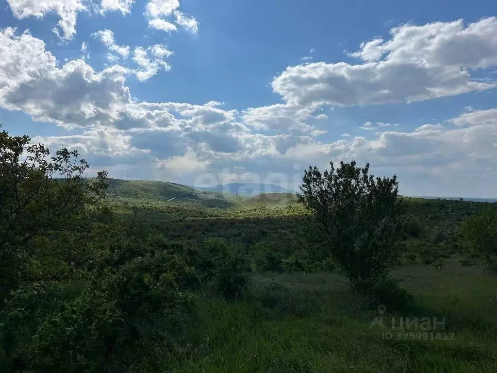 Участок в Крым, Феодосия муниципальный округ, с. Виноградное ул. ... - Фото 1