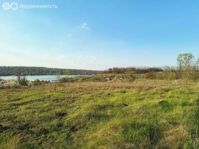 Участок в Шеинское сельское поселение, село Шеино (8 м) - Фото 1