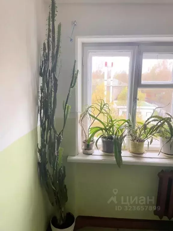 3-к кв. Псковская область, Печоры Вокзальная ул., 9 (65.0 м) - Фото 1