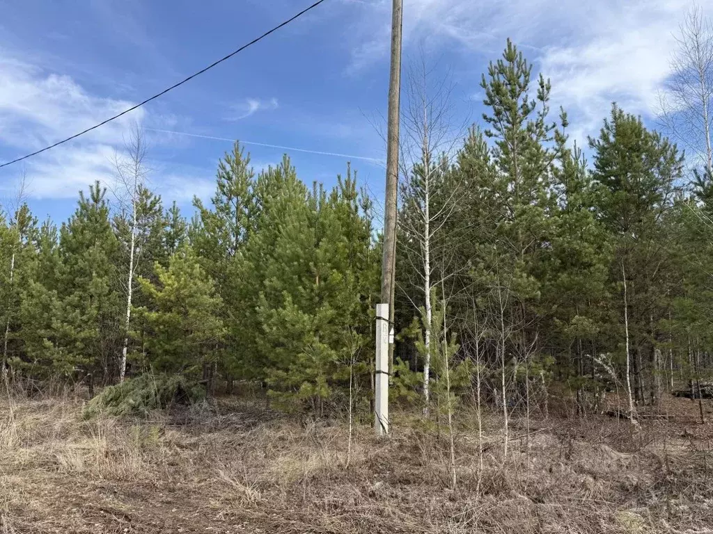 Участок в Свердловская область, Сысертский муниципальный округ, пос. ... - Фото 2
