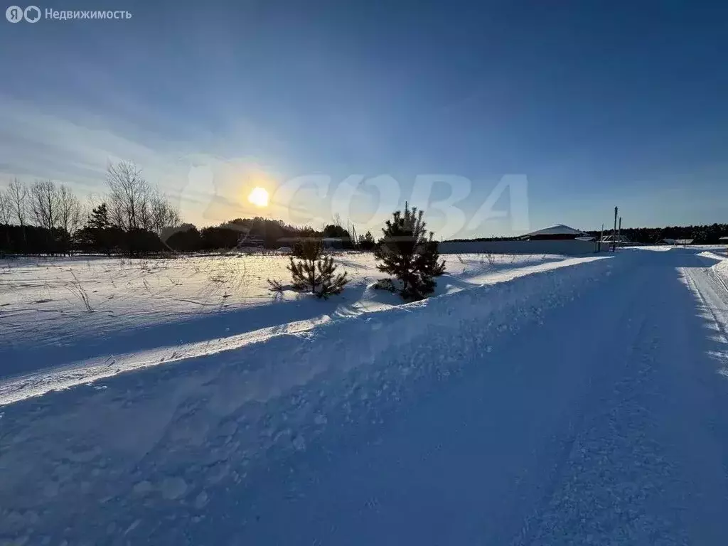 Участок в Тюменский муниципальный округ, деревня Криводанова (25.6 м) - Фото 1
